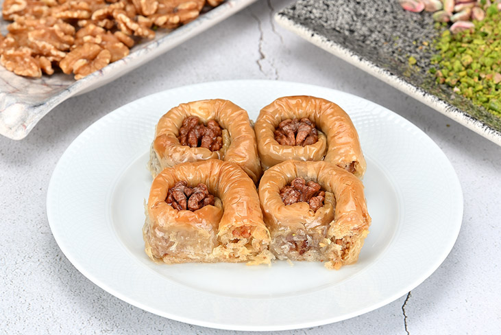 CEVİZLİ BÜLBÜL YUVASI