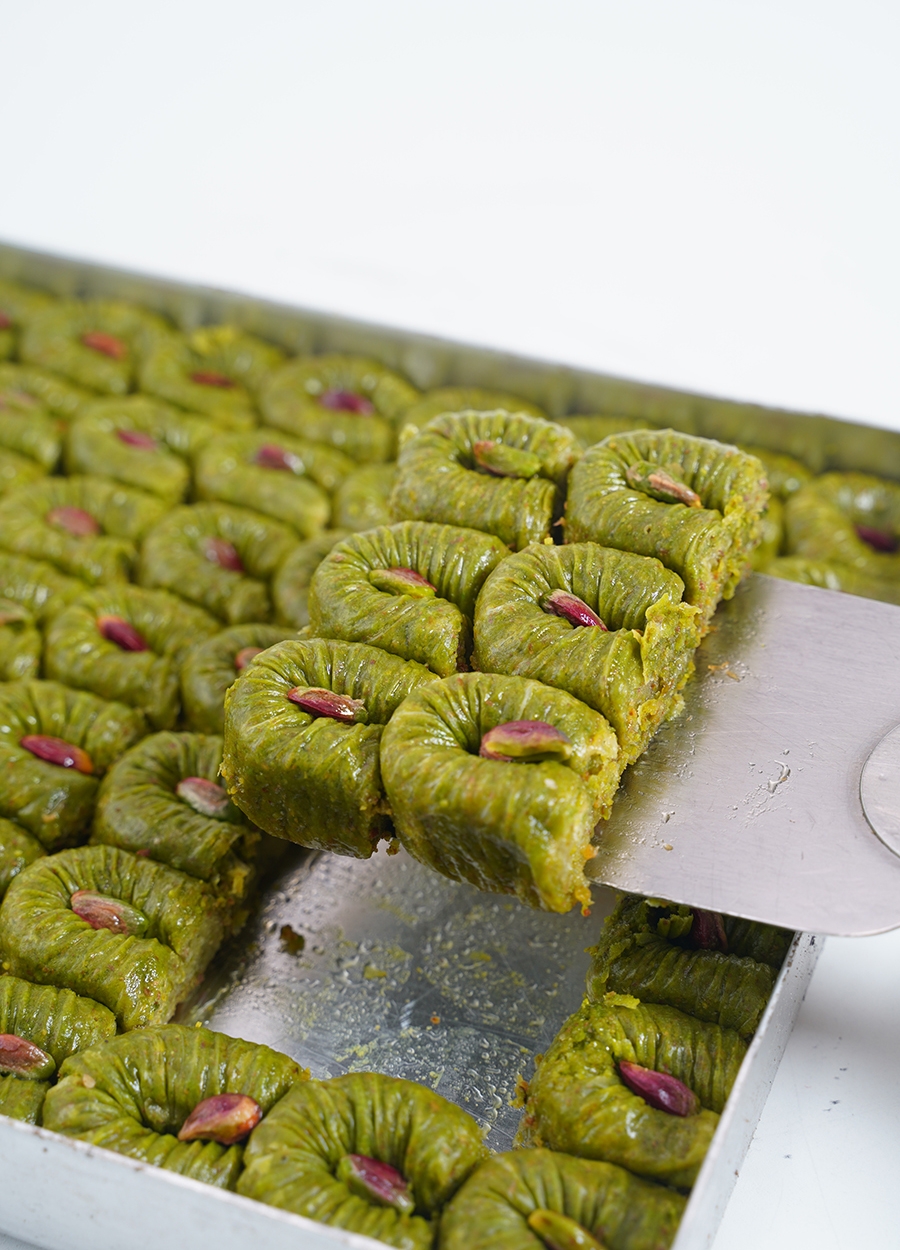 FISTIKLI BÜLBÜL YUVASI